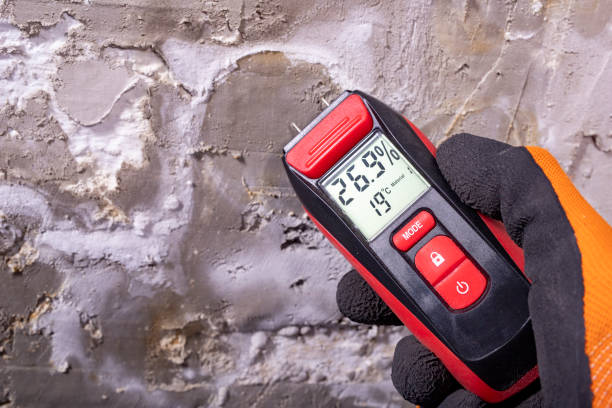 Best Localized Mold Remediation (e.g., coastal areas, humid climates) in Montello, WI
